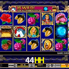 44HH Plataforma